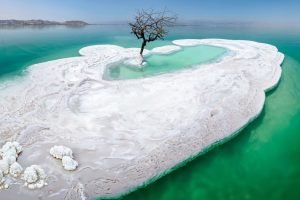 A,Dead,Tree,Surrounded,By,Salt,In,The,Dead,Sea,